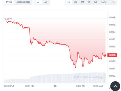 TrueUSD Stablecoin Depegs Amid Massive Sell Off