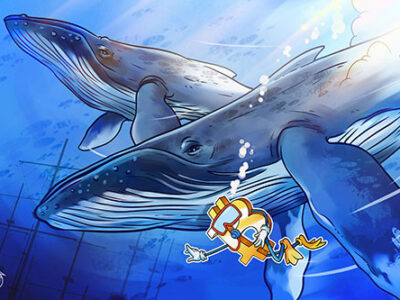 Bitcoin Whales’ Influence: BTC Price Dips by 2.8% After Almost Hitting $66.5K