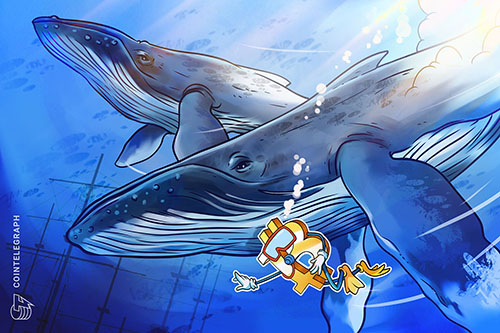 Bitcoin Whales’ Influence: BTC Price Dips by 2.8% After Almost Hitting $66.5K