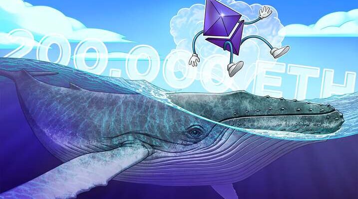 Ethereum Whales Accumulate Amid Predictions of ETH Market Bottom