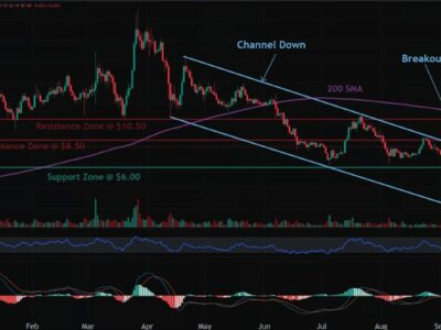 ICP Crypto: The Ultimate Momentum Buy of the Week Targeting Spectacular Gains